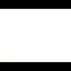 Meet your Posher, Ethan